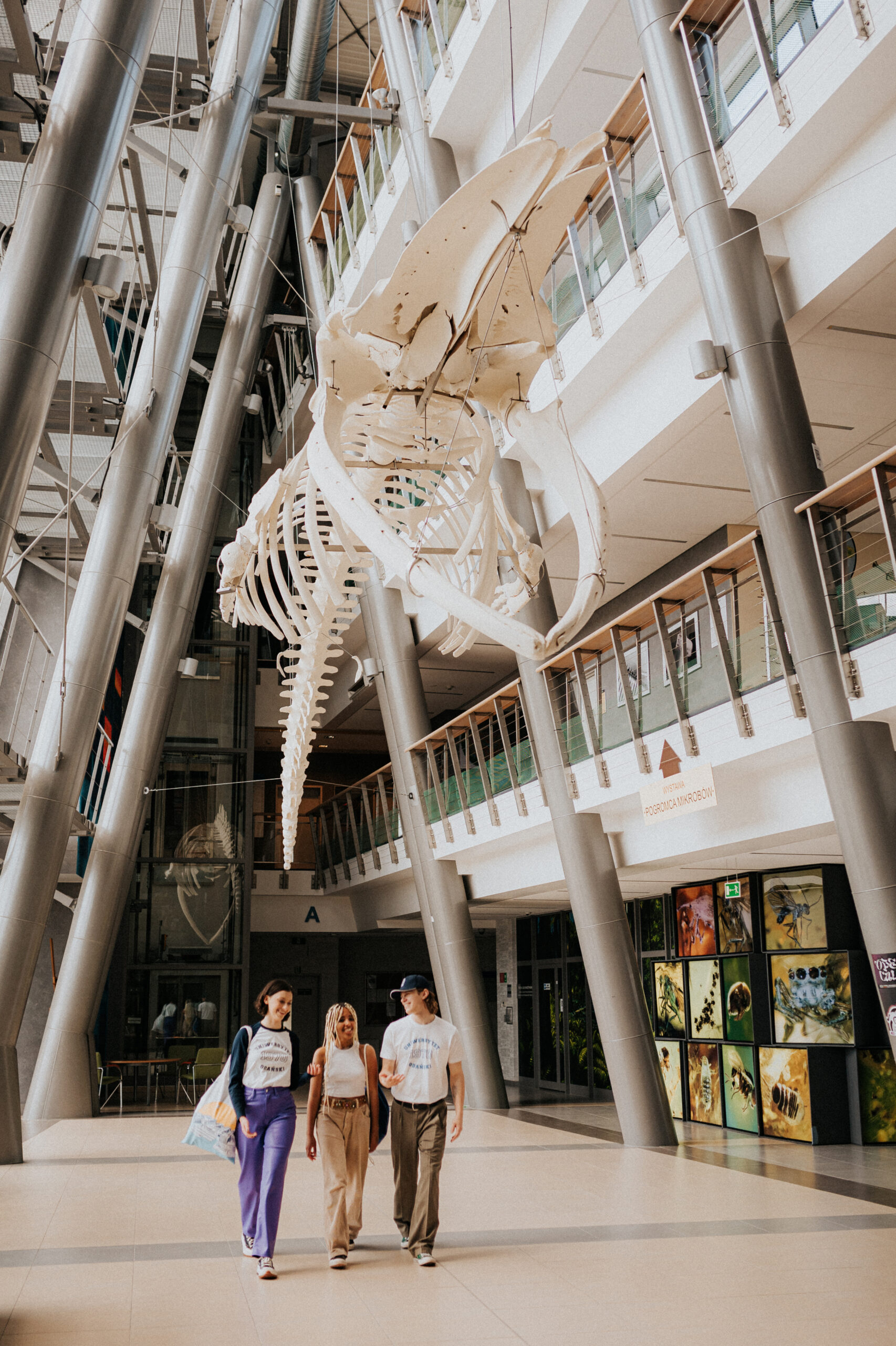 IMG_6023 walking students, humpback whale skeleton in background